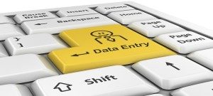 professional-data-entry-services-1-300x135